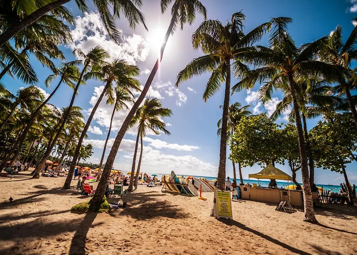 Diamond Head View Close To Waikiki Beach With Parking