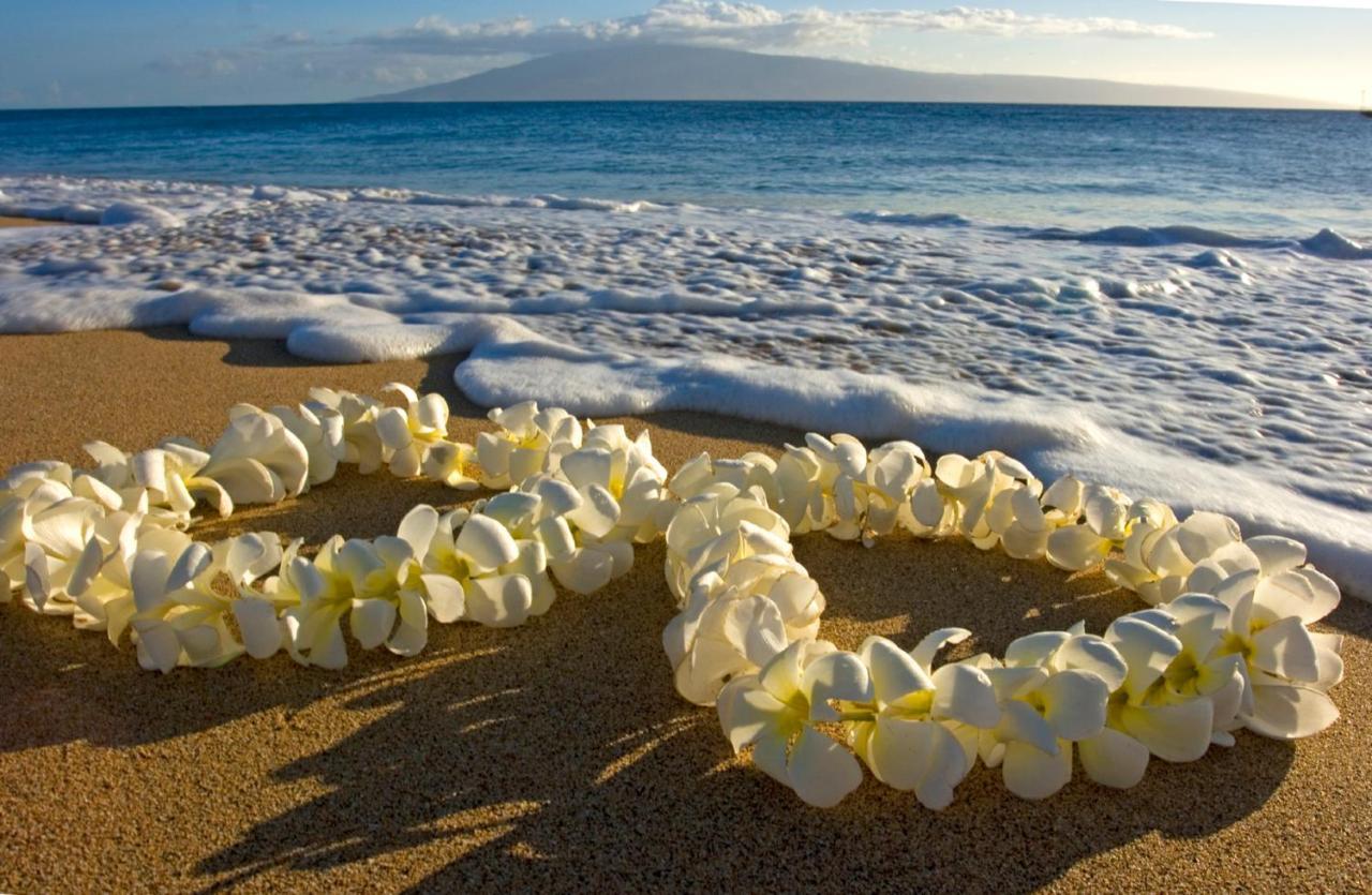 Diamond Head View Close To Waikiki With Parking Appartamento *